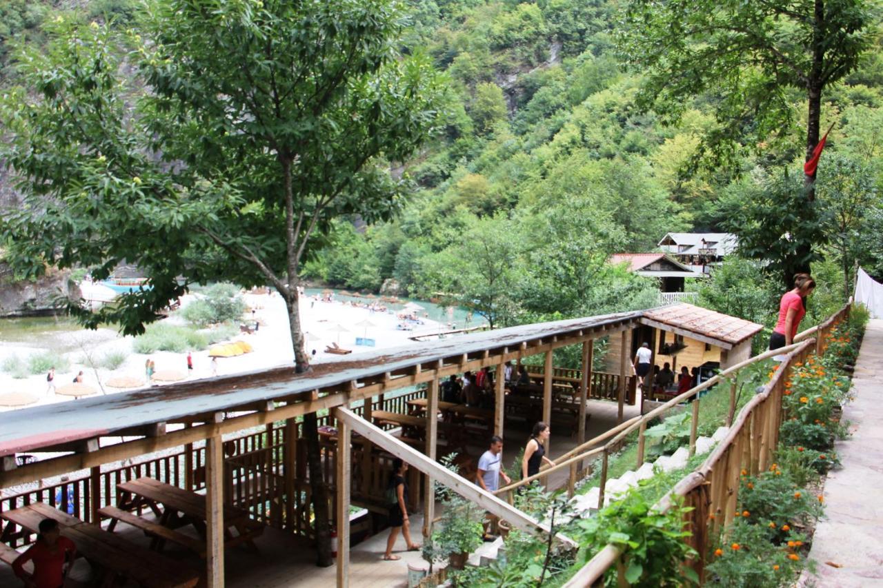 Bee Eco Guest House Moll' e Shoshit Ngoại thất bức ảnh