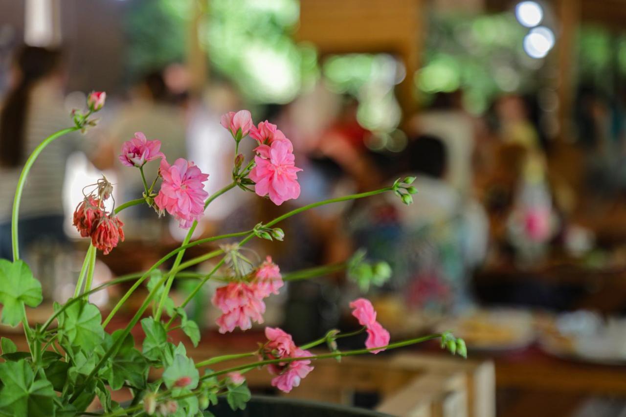 Bee Eco Guest House Moll' e Shoshit Ngoại thất bức ảnh