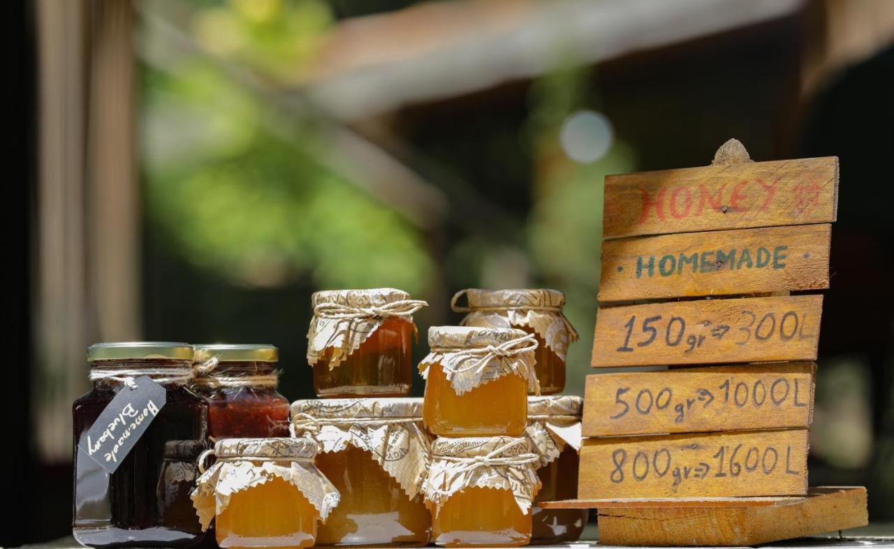 Bee Eco Guest House Moll' e Shoshit Ngoại thất bức ảnh