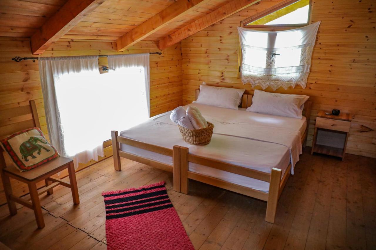 Bee Eco Guest House Moll' e Shoshit Ngoại thất bức ảnh