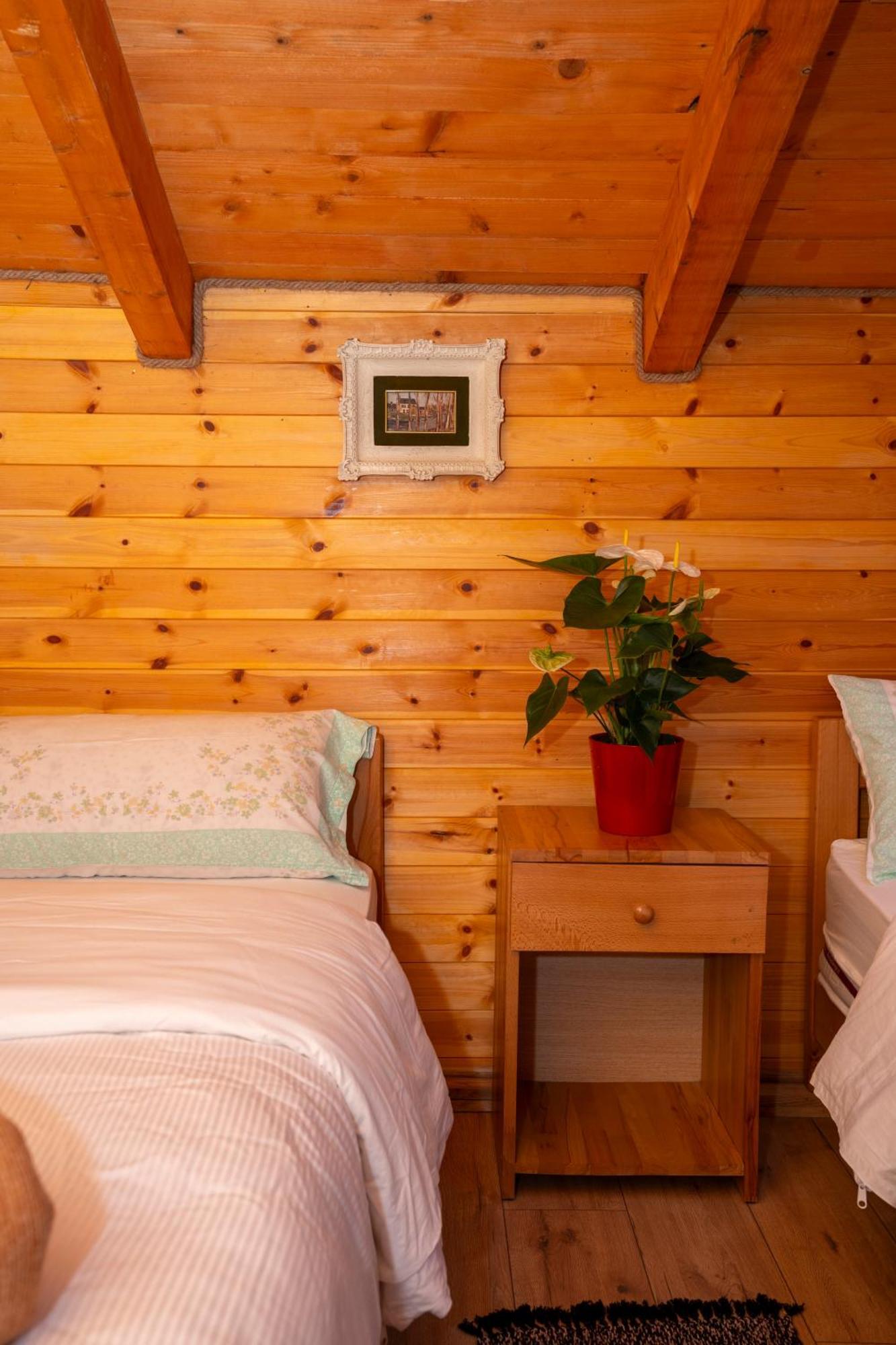 Bee Eco Guest House Moll' e Shoshit Ngoại thất bức ảnh